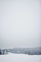 Naklejka premium winter landscape with snow