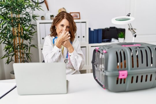 Middle Age Veterinarian Woman Working At Pet Clinic Smelling Something Stinky And Disgusting, Intolerable Smell, Holding Breath With Fingers On Nose. Bad Smell