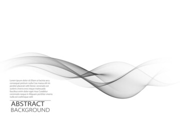 Gray elegant wave on a white background. Smoky vector wavy wave lines. Design element