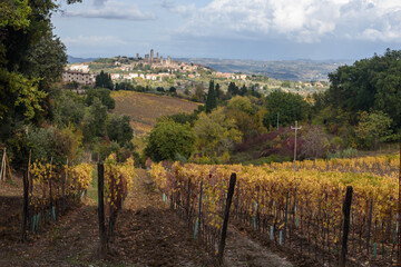 Fototapeta na wymiar Blick über Weinberge in Herbstfarben und Bäume auf San Gimignano im Hintergrund in der Toskana