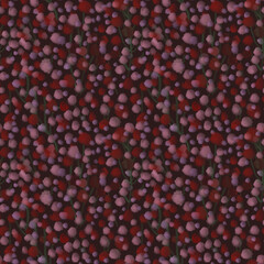 Seamless hand-drawn floral pattern. Small wildflowers, red and pink. Design of textiles, fabrics, wallpaper, interior items, packaging, floristry, paper.