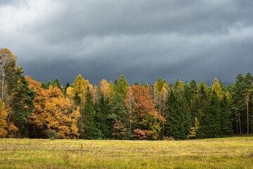 autumn in the mountains