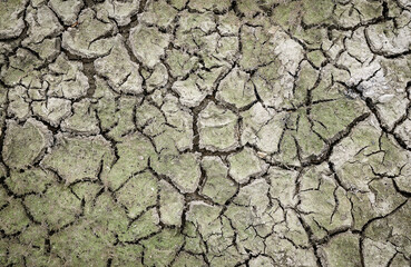 The land was dry and cracked. The global shortage of water on the planet. Global warming and greenhouse effect concept.	