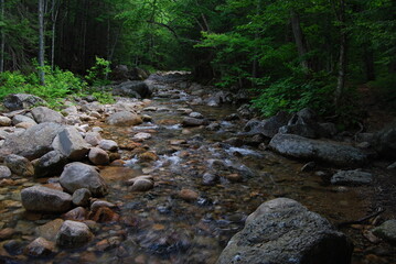 New England stream