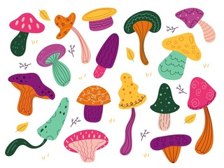 Forest mushrooms. Cute autumn mushroom with natural ornaments, bright colorful funny funguses, fantastic vegetable objects, edible and poisonous harvest, vector cartoon flat isolated set