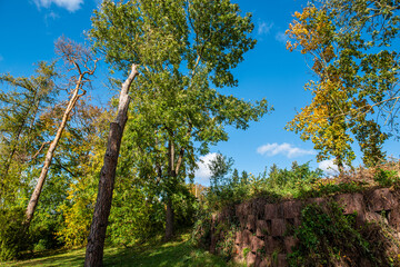 Weimar in autumn, the German cultural city, synonym of republic