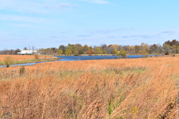 Fototapeta na wymiar Lake in a Farm Field with Dry Grass