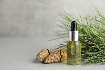 Pine essential oil, cones and branches on light grey table. Space for text