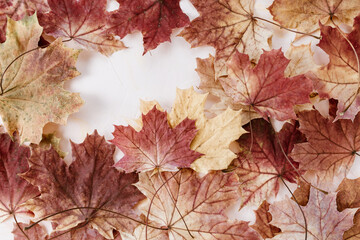 Red and yellow maple leaves on pink background. Fall frame layout with copy space in corner. Autumn concept. Banner or message board template