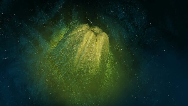 Gassy Alien Nest Lit Up With Torch