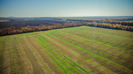 Fototapeta premium harvested harvest fields in Russia