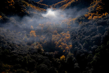 Obraz na płótnie Canvas vista aérea del bosque de cobre en el valle del Genal, Andalucía
