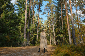 A woman traveler walks through the forest. Beautiful nature landscape in woods. Hiking journey on tourist trail. Outdoor adventure. Travel and exploration. Healthy lifestyle, leisure activities