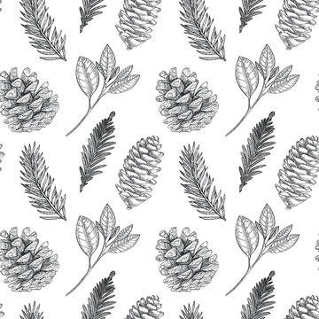 Hand drawn vector seamless pattern with pine tree branches, pine cones. Christmas ornament. Outline drawing