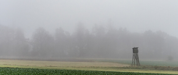 Hochsitz im herbstlichen Taunus