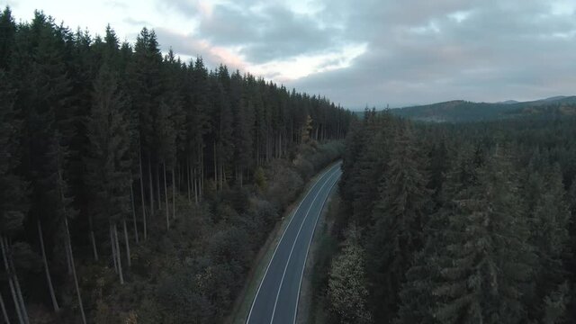 Wonderful autumn landscape. Flying over the road among huge fir trees, mountains are visible in the background.