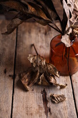 Dry peony leaves on old wooden background