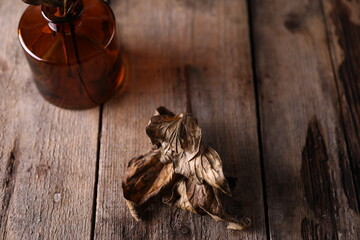 Dry peony leaves on old wooden background