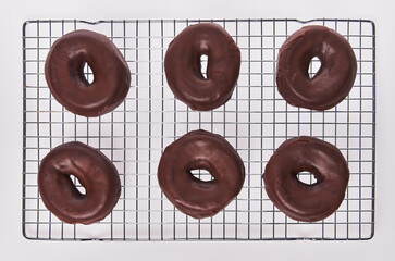  Oven tray with chocolate doughnuts isolated on a white background