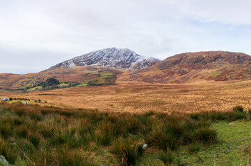 Autumn in the mountains, Kerry, Ireland