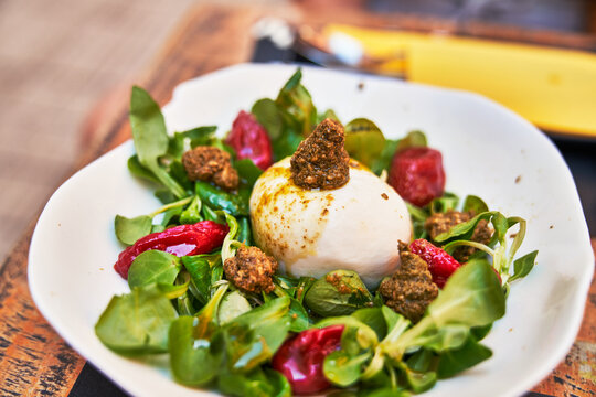 Beautiful burrata cheese with pesto on lambs lettuce salad image