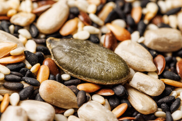 Close up shot of mixed seeds