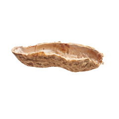  Middle peanut shell isolated on a white background