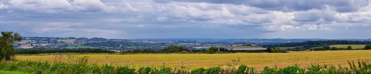 Fototapeta premium Sheep Grazing in England lush pastures and farmlands in the United Kingdom. Beautiful English countryside with emerald green fields and meadows. UK. 
