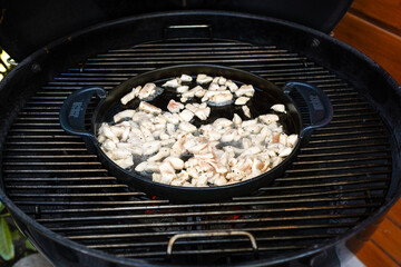 Pute, Putenfleisch, Streifen, Putenstreifen, geschnitten, Grill, Pfanne, Gusseisenpfanne, Griller; BBQ, Barbecue, kochen, essen, draußen