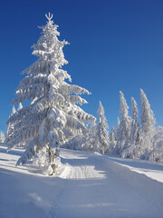 Zimowy krajobraz © Iwona
