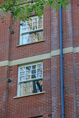 Reflections in a window	