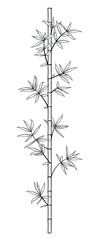 Vector stock illustration of bamboo stick with leafs - black and white image.