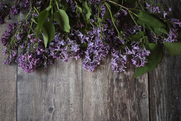 bunch of lilac on wooden background