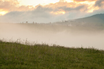 Obraz na płótnie Canvas Deep fog in the mountains, view from a mountain pasture. Ukraine, Carpathians.
