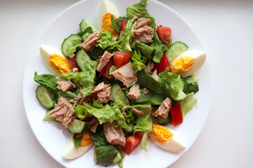 Tuna salad with tomatoes, cucumbers, eggs and lettuce on white background.