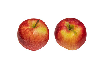 two juicy sweet organic red apples grown in a personal garden isolated on white close up