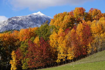 autumn landscape in the mountains with snowy peak southern alps france © poupine