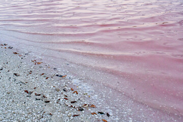 Charca salinera en la Península de Yucatán, México