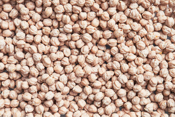 Natural and raw chickpeas. Fresh legumes close up