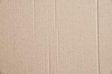 Fototapeta na wymiar Rustic brown paperboard. Rough cardboard kraft texture