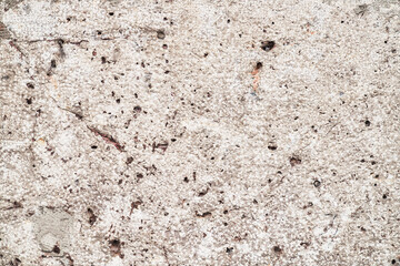 Beautiful stone texture image