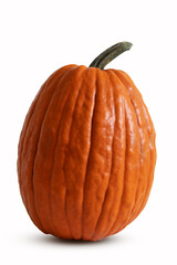 pumpkin isolated on white background