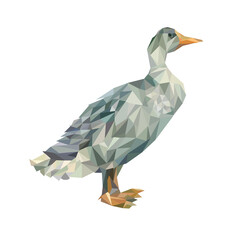 illustration of a bird duck polygons 