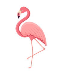 Vector illustration of a flamingo.