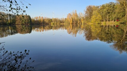 reflection in the water