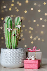 Concept of Christmas and new year. Cactus Tree decorated with wooden toys and paper snowflakes on a golden bokeh background