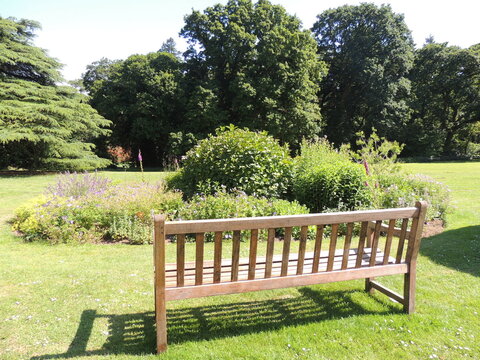 beautiful natural park in swansea. wales. clyne garden. plants and flowers and birds. 