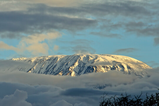 A picture of the Kilimanjaro