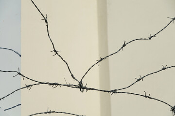 Detail of a barbed wire fence with white background