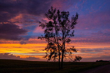 Fototapeta na wymiar North Dakota Sunset